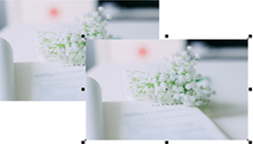 教你用CorelDRAW制作透明小清新的字體