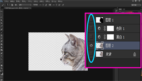 PS實用技巧：如何利用PS黑白命令進行摳圖？