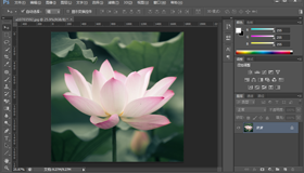 PS實用教程,快速選擇工具摳圖的方法